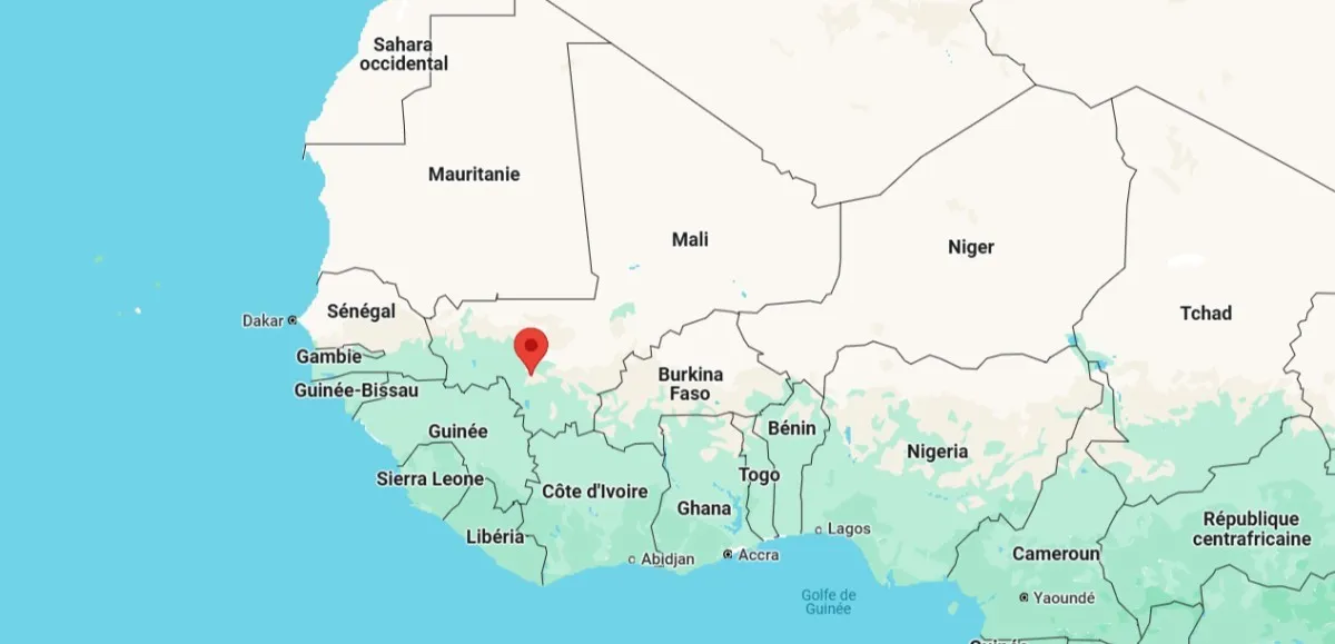 Manifestation à Bamako contre la dissolution des partis politiques au Mali