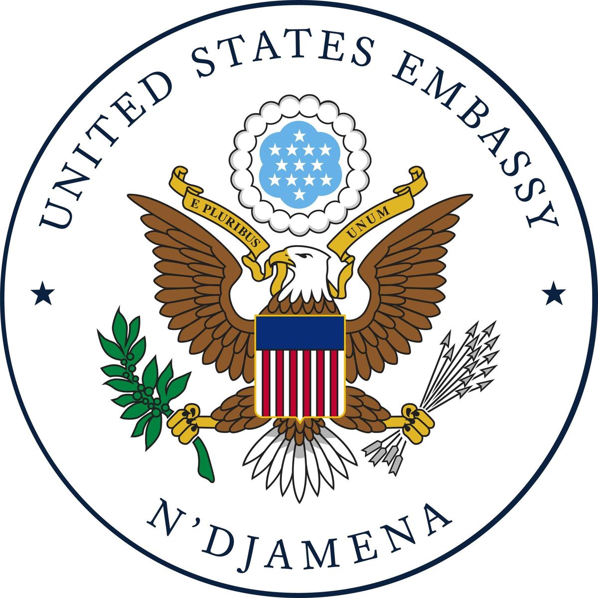 Tchad : rencontre virtuelle de l'ambassade des États-Unis pour ses ressortissants