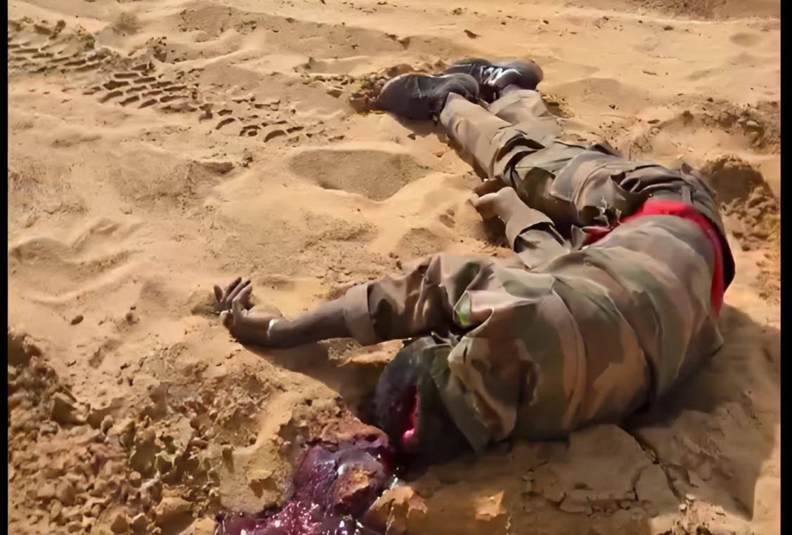 Embuscade meurtrière au nord du Mali